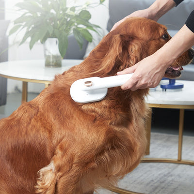 Pet Accessories